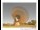 Webcam in Parkes, 909.7 km entfernt