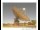Webcam in Parkes, 304.6 km entfernt
