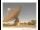 Webcam in Parkes, 292.7 km entfernt