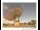 Webcam in Parkes, 168.3 mi away