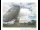 Webcam in Parkes, 292.7 km entfernt