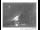 Webcam in Parkes, 80.3 mi away