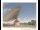 Webcam in Parkes, 186.6 mi away