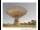 Webcam in Parkes, 325.1 km entfernt
