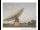 Webcam in Parkes, 292.2 km