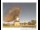 Webcam in Parkes, 350.5 mi away