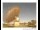 Webcam in Parkes, 299.4 km entfernt