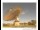 Webcam in Parkes, 115.6 mi away