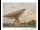 Webcam in Parkes, 168.3 mi away