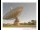 Webcam in Parkes, 908.3 km entfernt