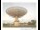 Webcam in Parkes, 297.8 km