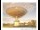 Webcam in Parkes, 297.8 km