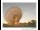 Webcam in Parkes, 299.7 km