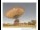 Webcam in Parkes, 350.5 mi away