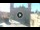 Webcam in Qormi, 0.9 km