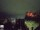Webcam in Edimburgo, 89.7 km