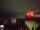 Webcam in Edimburgo, 61.8 km