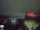 Webcam in Edimburgo, 100 km
