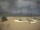 Webcam in Sint-Idesbald, 0.6 mi away