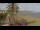 Webcam in Torre del Mar, 35.9 km