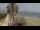 Webcam in Torre del Mar, 2.8 mi away
