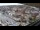 Webcam in Bremerhaven, 0.2 km