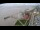 Webcam in Bremerhaven, 0.1 mi away