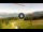 Webcam in Serrada, 4.2 km