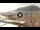 Webcam in Mondello, 56.9 km