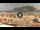 Webcam in Mondello, 28.8 mi away