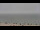 Webcam in Neuharlingersiel, 0.2 km