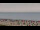 Webcam in Neuharlingersiel, 2.5 mi away