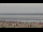 Webcam in Neuharlingersiel, 7.3 km entfernt