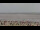 Webcam in Neuharlingersiel, 7.3 km