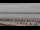 Webcam in Neuharlingersiel, 0.2 km