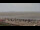 Webcam in Neuharlingersiel, 7.3 km
