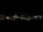 Webcam in Riga, 0.8 mi away