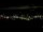 Webcam in Riga, 0.9 km entfernt