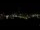 Webcam in Riga, 0.8 mi away
