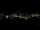 Webcam in Riga, 0.8 mi away