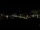 Webcam in Riga, 1.5 km entfernt