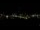 Webcam in Riga, 6.6 mi away