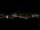 Webcam in Riga, 0.7 mi away