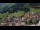 Webcam in St. Anton am Arlberg, 3.8 km