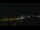 Webcam in Flensburg, 19 mi away