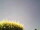 Webcam in Burgstetten, 12.6 mi away