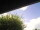Webcam in Burgstetten, 10.3 mi away