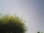Webcam in Burgstetten, 5.6 mi away