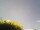 Webcam in Burgstetten, 0 km entfernt