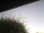 Webcam in Burgstetten, 7.8 mi away